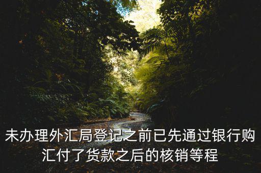 未辦理外匯局登記之前已先通過銀行購匯付了貨款之后的核銷等程