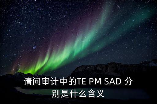 請問審計(jì)中的TE PM SAD 分別是什么含義