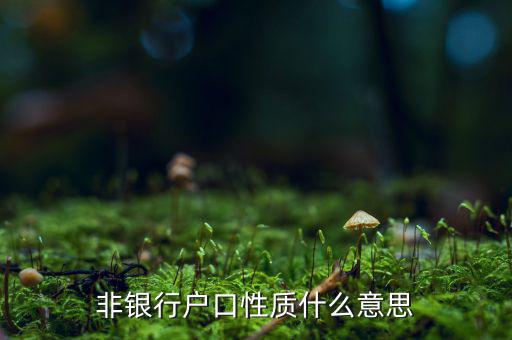 非銀行戶(hù)口性質(zhì)什么意思