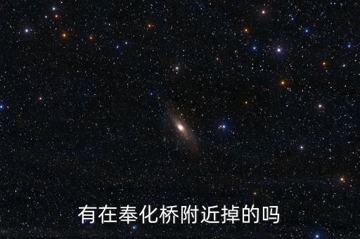 有在奉化橋附近掉的嗎