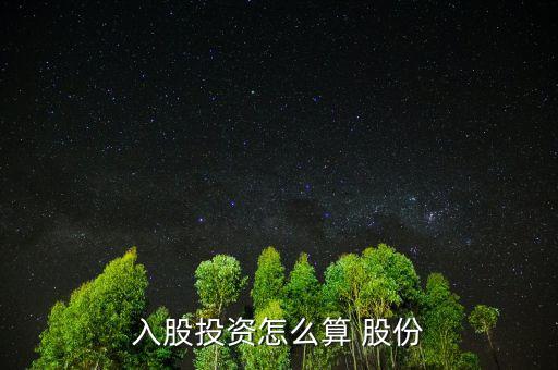 入股投資怎么算 股份