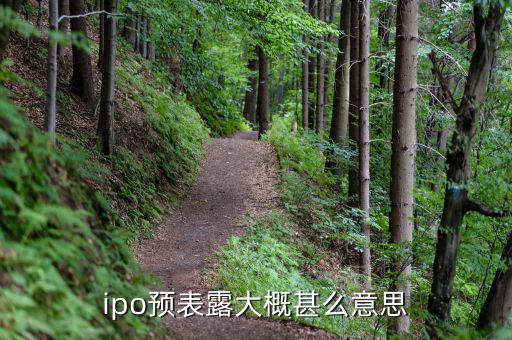 ipo預(yù)表露大概甚么意思