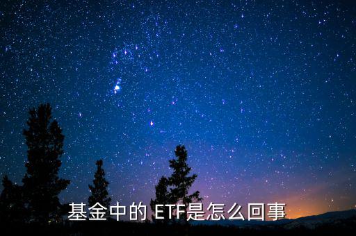 怎么投資中小板ETF,交易所交易指數(shù)基金簡(jiǎn)稱(chēng)etf"