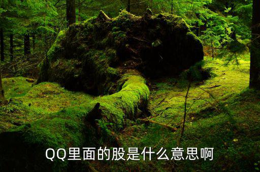 Qq的內(nèi)幕股什么意思，QQ里面的股是什么意思啊