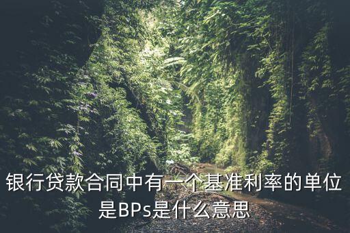 利率bps是什么意思，BPS是什么