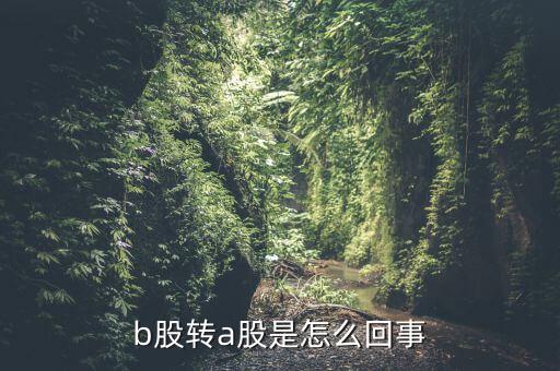 b股轉(zhuǎn)a股是怎么回事