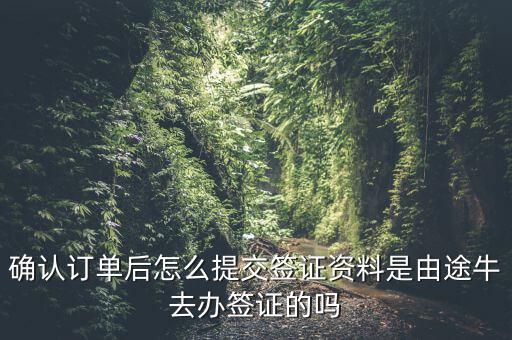 為什么途牛金服資料提交不了，申請(qǐng)途牛額度的資料怎么填寫我填的都是真的也很全啊但是一提