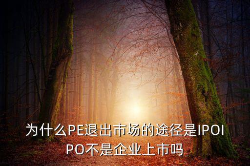 pe為什么要退出，為什么PE退出市場(chǎng)的途徑是IPOIPO不是企業(yè)上市嗎