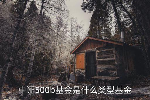 中證500b基金是什么類型基金