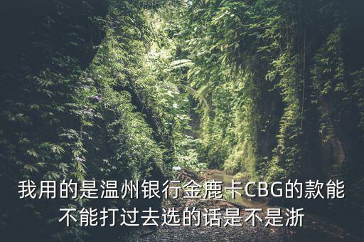 我用的是溫州銀行金鹿卡CBG的款能不能打過去選的話是不是浙