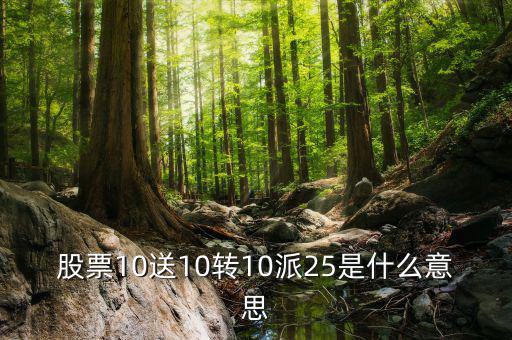 股票10送10轉(zhuǎn)10派25是什么意思