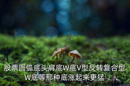 股票圓弧底頭肩底W底V型反轉(zhuǎn)復(fù)合型W底等那種底漲起來(lái)更猛