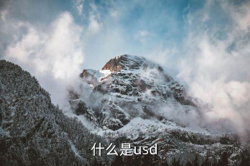 什么是usd