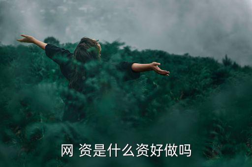 網(wǎng) 資是什么資好做嗎