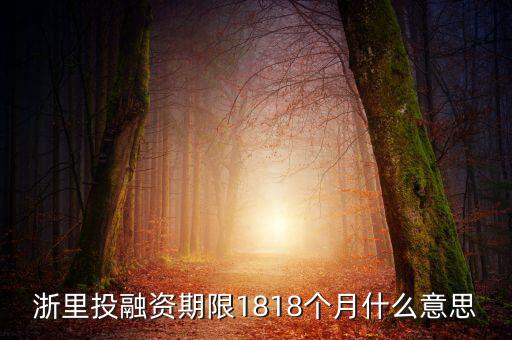 浙里投融資期限1818個(gè)月什么意思