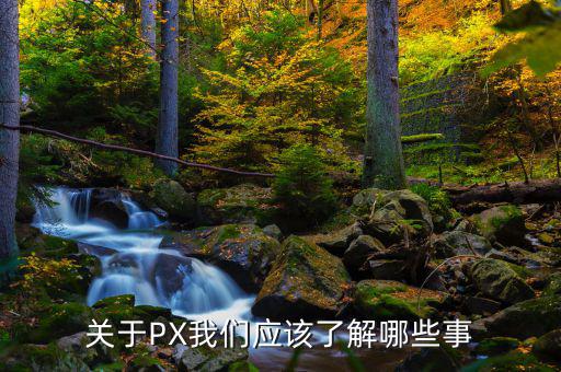 px項(xiàng)目是干什么的，關(guān)于PX我們應(yīng)該了解哪些事