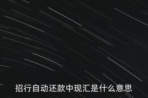 招行自動(dòng)還款中現(xiàn)匯是什么意思