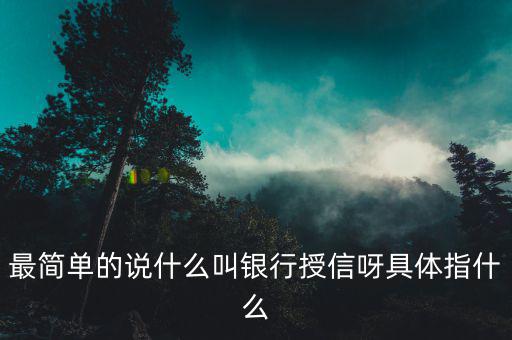 最簡(jiǎn)單的說(shuō)什么叫銀行授信呀具體指什么