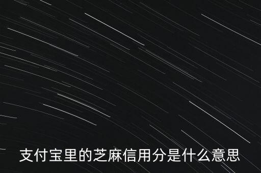 支付寶里的芝麻信用分是什么意思