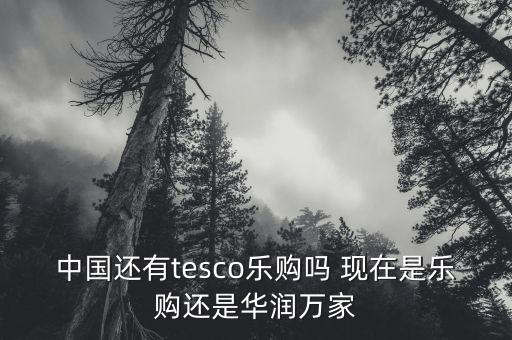 中國還有tesco樂購嗎 現(xiàn)在是樂購還是華潤萬家