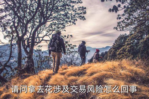 請(qǐng)問拿去花涉及交易風(fēng)險(xiǎn)怎么回事