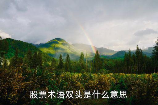 什么是大盤做雙頭，股票術(shù)語(yǔ)雙頭是什么意思