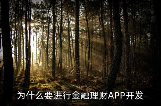 為什么要進行金融理財APP開發(fā)