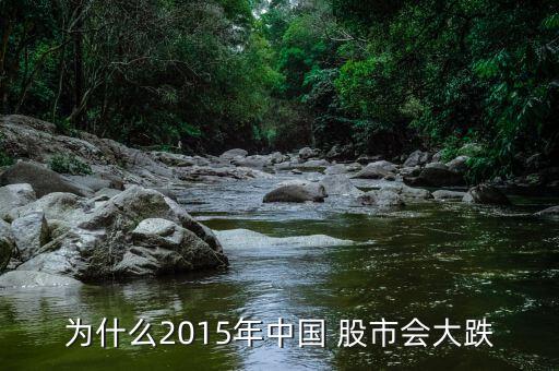 為什么2015年中國 股市會(huì)大跌