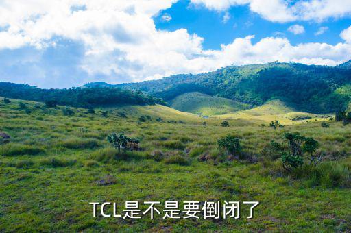 tcl什么時候申請的破產(chǎn)，TCL公司倒閉了嗎