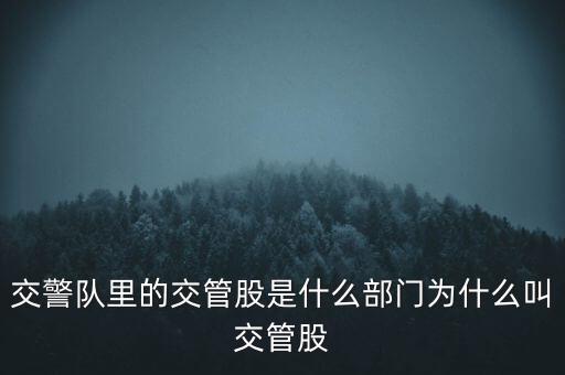 交警隊(duì)里的交管股是什么部門為什么叫交管股