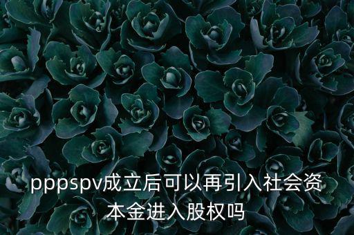 spv公司是什么意思，spv公司是獨立法人