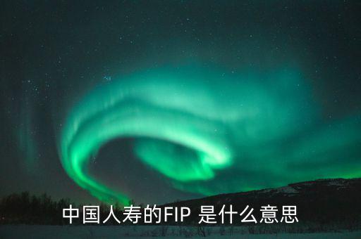 規(guī)模保費(fèi)是什么意思，中國(guó)人壽的FIP 是什么意思