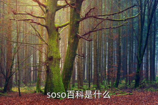 soso百科是什么