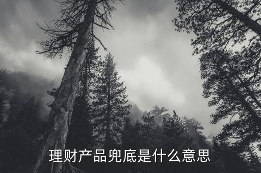 理財產(chǎn)品兜底是什么意思