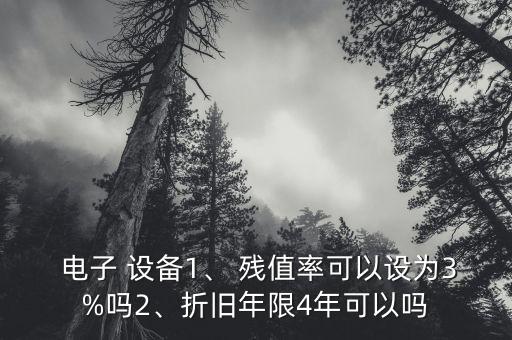  電子 設(shè)備1、 殘值率可以設(shè)為3%嗎2、折舊年限4年可以嗎