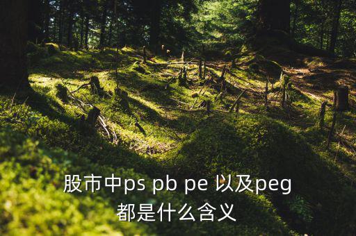 股市peg是什么意思，請問在股市里的PEG是什么意思和股價的關(guān)系怎樣多謝