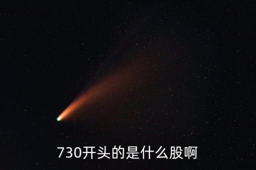 730開(kāi)頭的是什么股啊