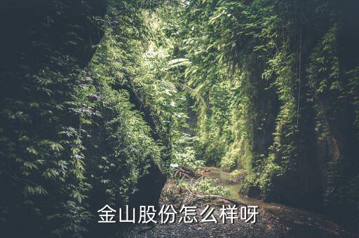 為什么沒人關(guān)注金山股份，金山股份怎么樣呀