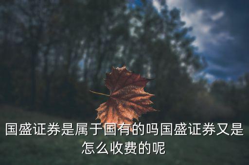 國盛證券是屬于國有的嗎國盛證券又是怎么收費(fèi)的呢