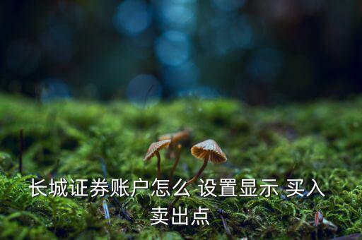 長城證券賬戶怎么 設(shè)置顯示 買入 賣出點(diǎn)