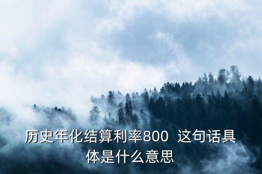 年化結(jié)算利率是什么，歷史年化結(jié)算利率800  這句話具體是什么意思