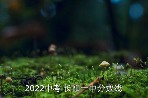 2022中考 長(zhǎng)陽(yáng)一中分?jǐn)?shù)線