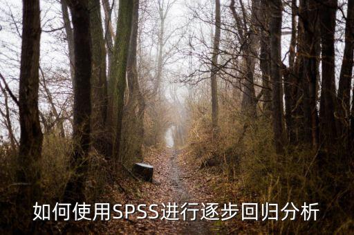 逐步回歸用什么軟件，關(guān)于spss相關(guān)分析和逐步回歸分析之間的一些疑問