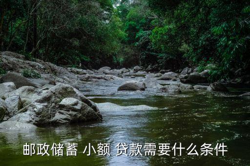 郵政儲蓄 小額 貸款需要什么條件