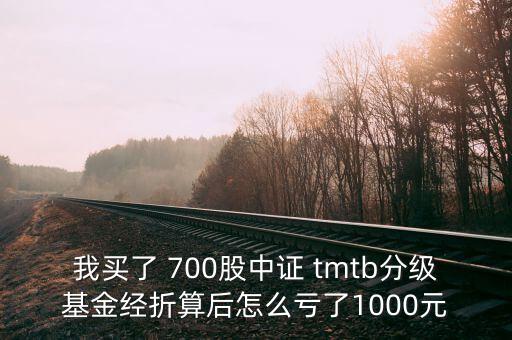 tmtb基金是什么股票，我買了 700股中證 tmtb分級基金經(jīng)折算后怎么虧了1000元