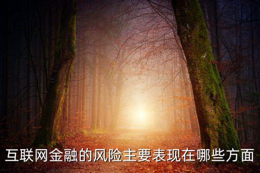 互聯(lián)網(wǎng)金融的風(fēng)險主要表現(xiàn)在哪些方面