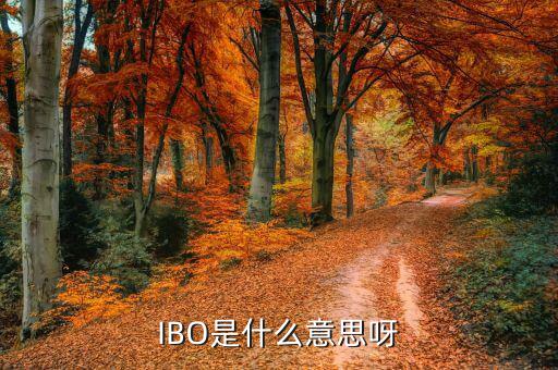 美股ibo是什么公司，IBO是什么意思呀