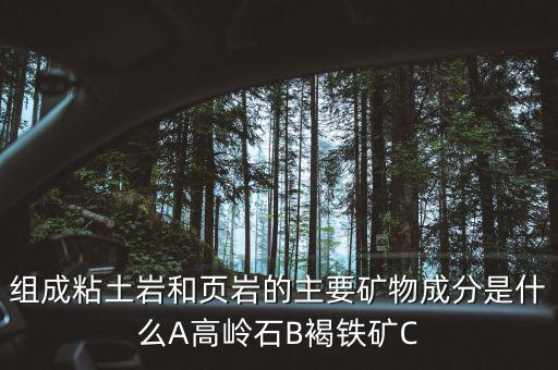 組成粘土巖和頁巖的主要礦物成分是什么A高嶺石B褐鐵礦C