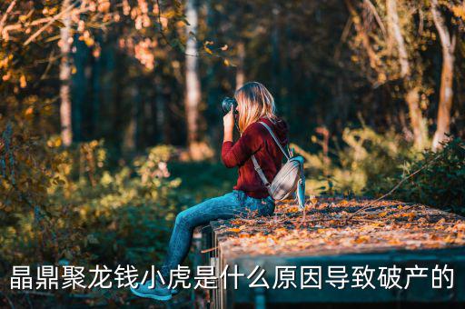 晶鼎聚龍錢小虎是什么原因?qū)е缕飘a(chǎn)的