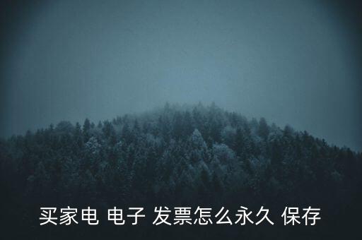 買(mǎi)家電 電子 發(fā)票怎么永久 保存